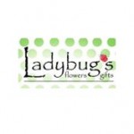 Ladybug's Flowers & Gifts