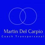Martín del Carpio Coach