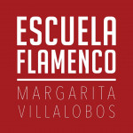 Escuela Flamenco Margarita Villalobos