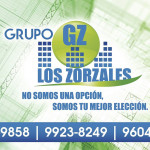 Grupo Los Zorzales Bienes Raíces SPS