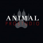Animal Prostudio