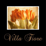 Villa Fiore