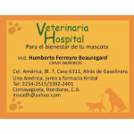 Veterinaria Hospital