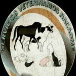 Servicios Veterinarios Nacaome