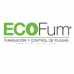 Ecofum GDL