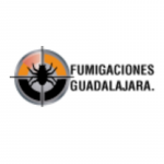 Fumigaciones Guadalajara