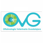 Oftalmologia Veterinaria Guadalajara