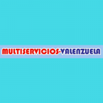 Multiservicios Valenzuela GDL