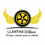 Llantas Wilson