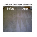 Action Carpet Cleaning