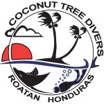 Coconut Tree Divers