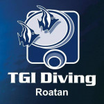TGI Diving Roatan Henry Morgan