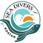 Sea Divers