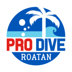 Pro Dive Roatan