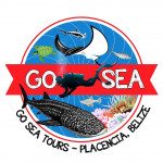 Go Sea Tours