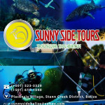 Sunny Side Tours