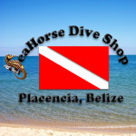 Seahorse Dive Shop