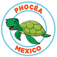 Phocea Mexico La Paz