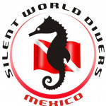 Silent World Divers