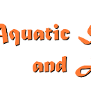 Aquatic Sports & Adventures