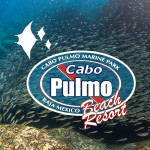 Cabo Pulmo Beach Resort