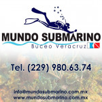 Mundo Submarino