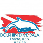 Dolphin Dive Center Loreto