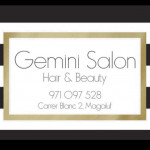 Gemini Salon