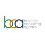 Business Consulting Agency