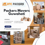 dtcpackers