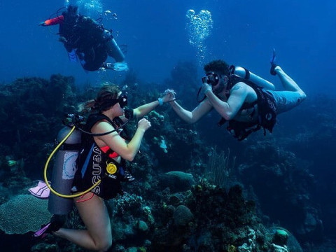 Roatan Dive Resort  Subway Dive Lessons
